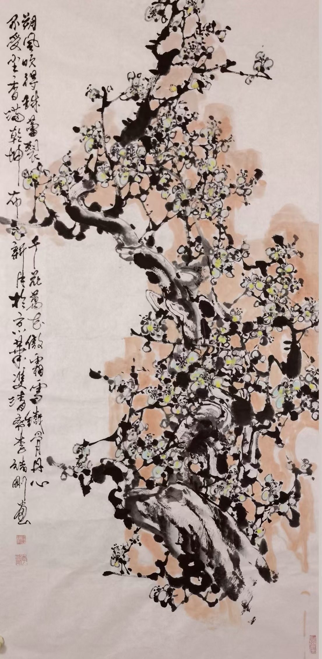 朔风吹得珠蕾裂
