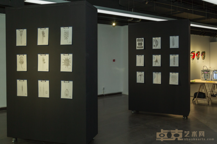 P_011 (1)