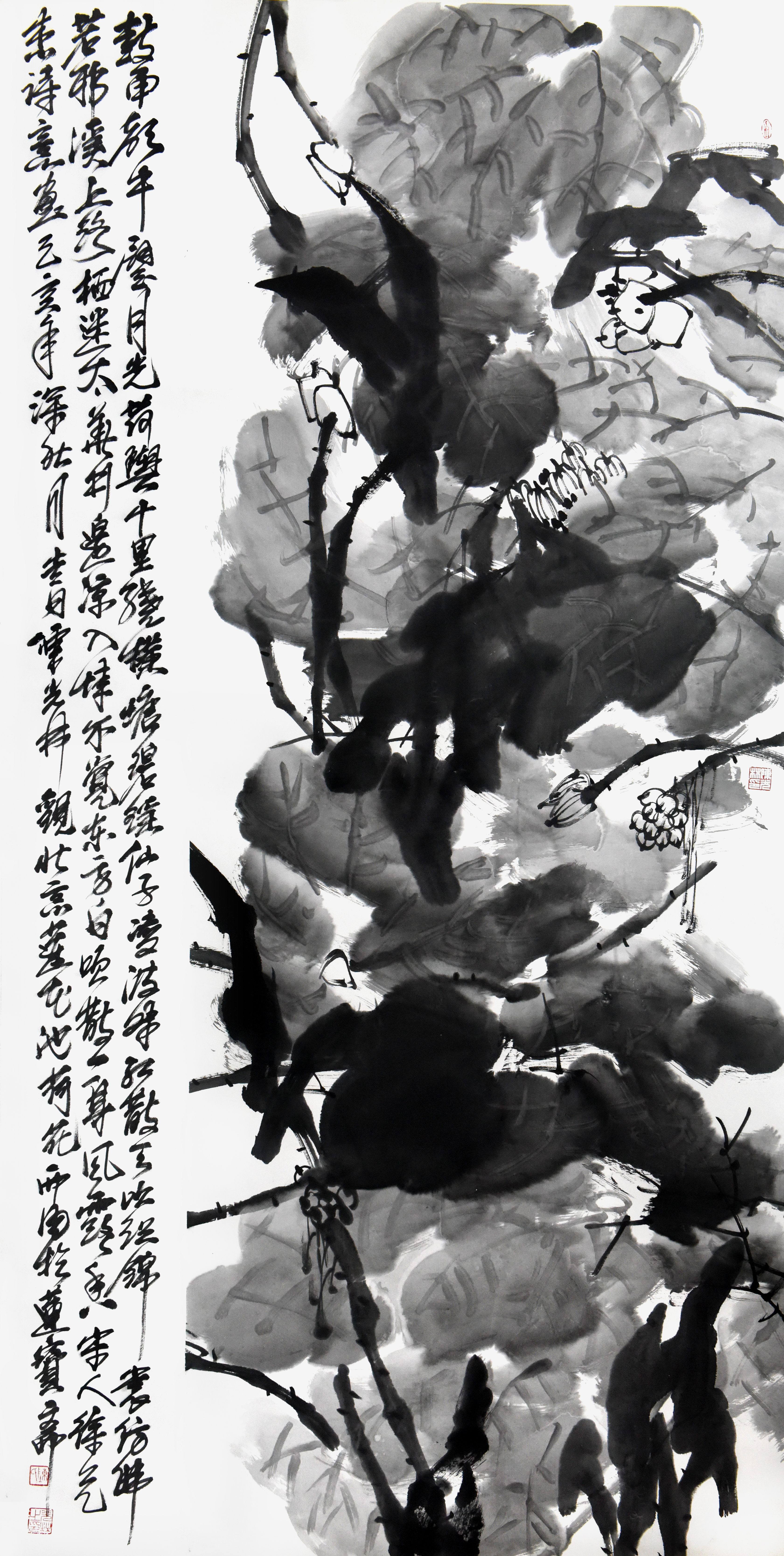 仙子凌波