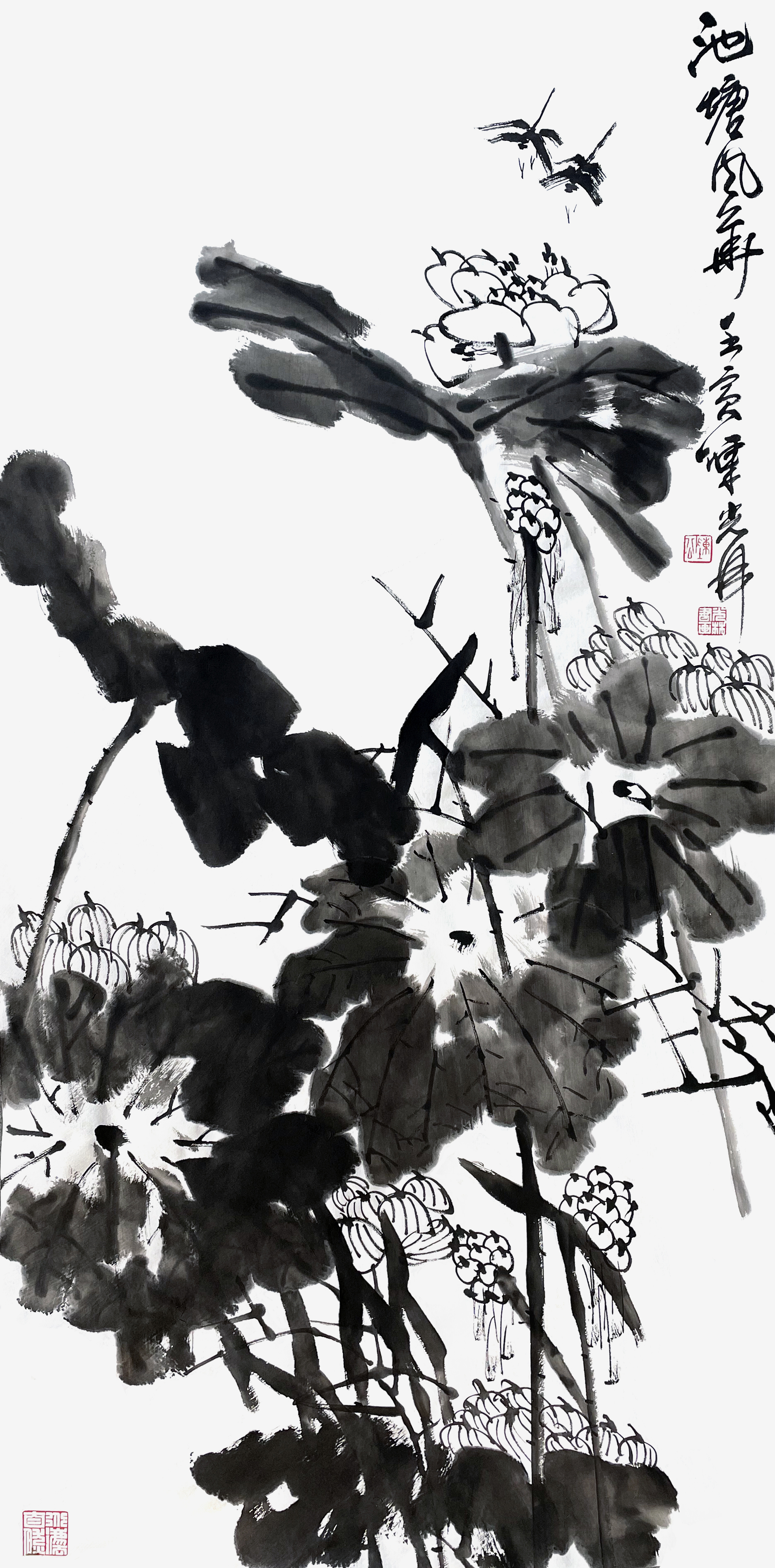 池塘风华