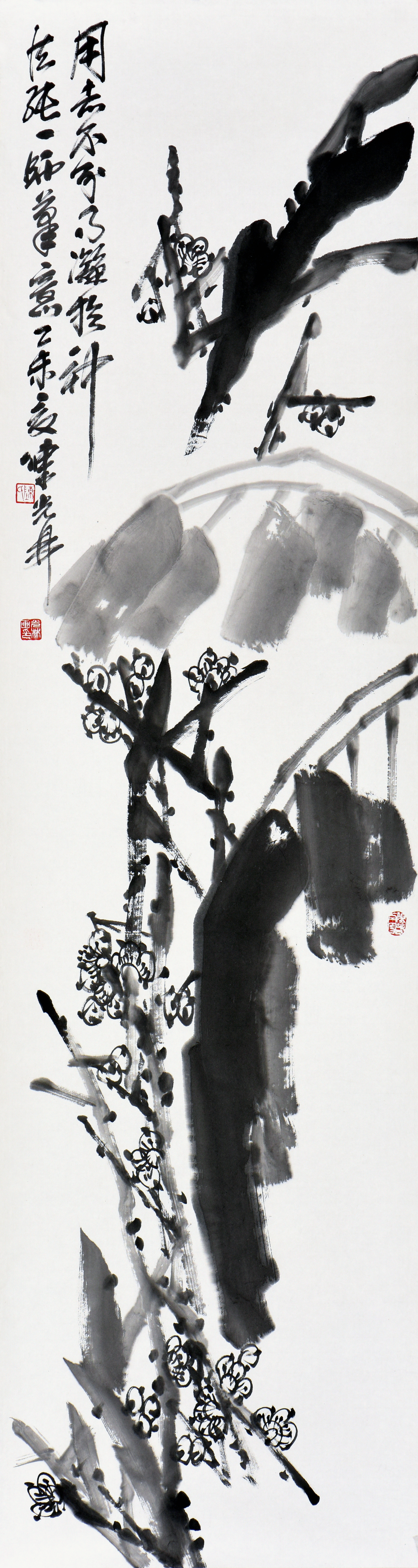 梅蕉