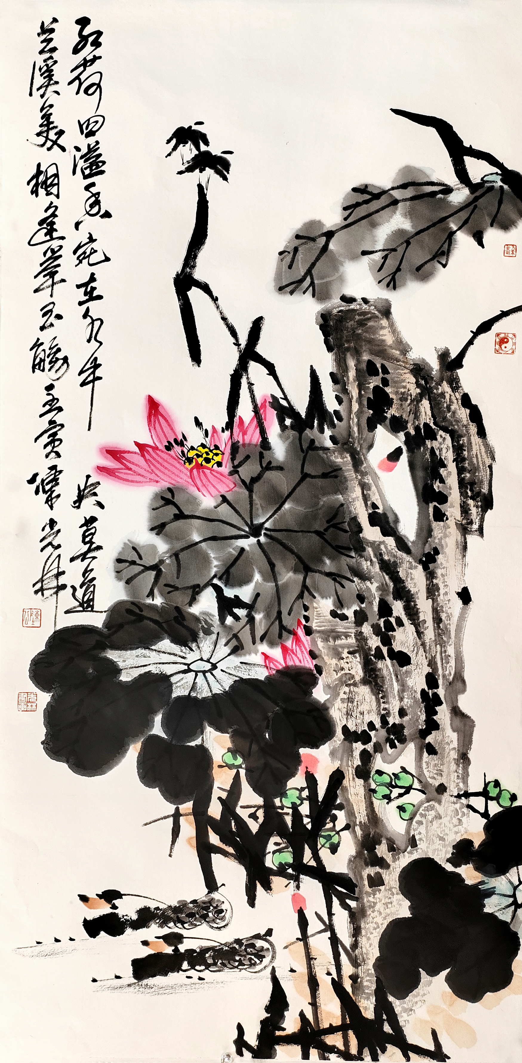 红荷溢香