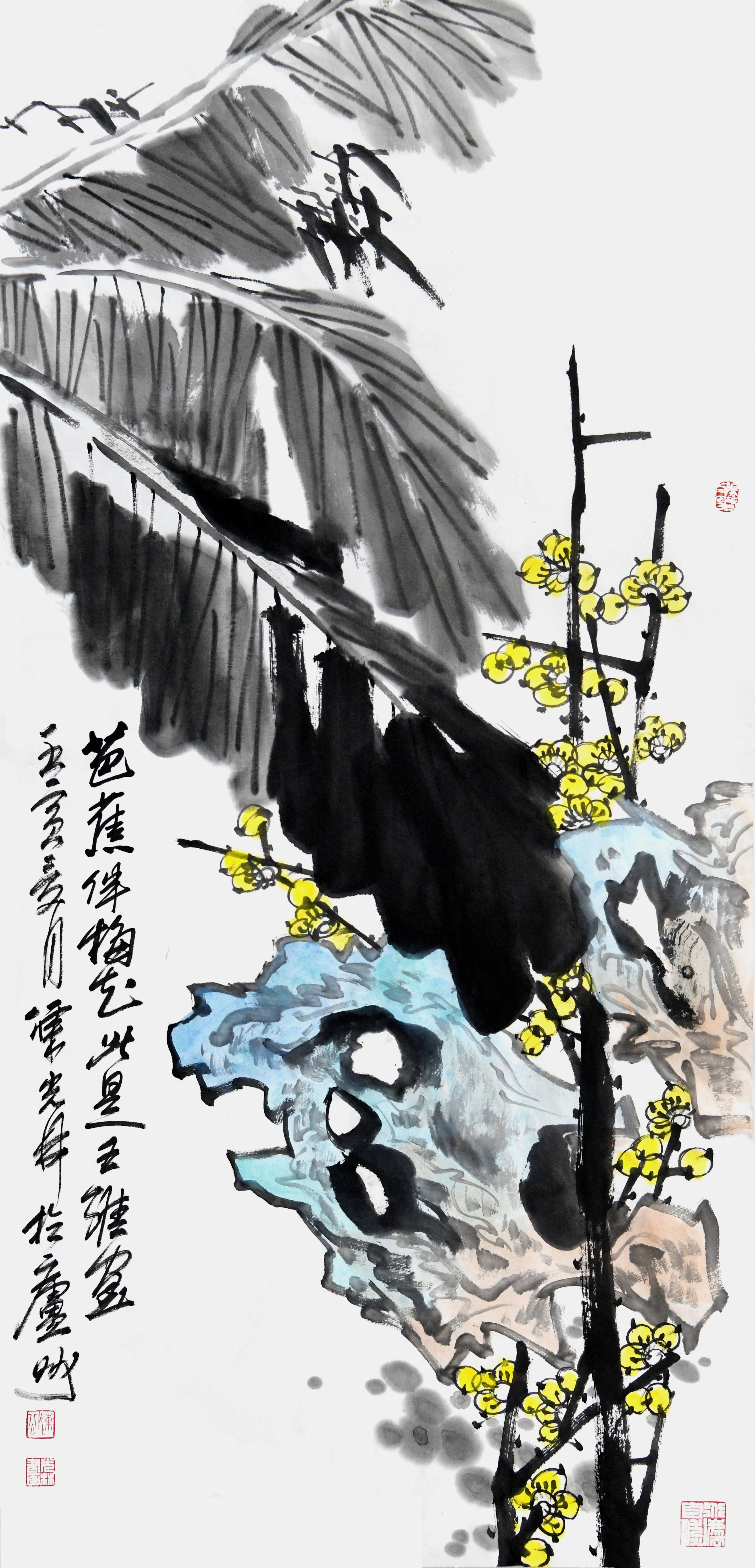 芭蕉伴梅