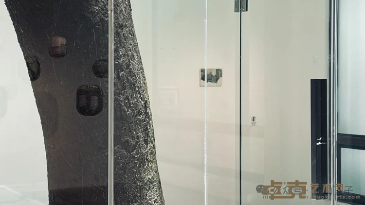 图片 4