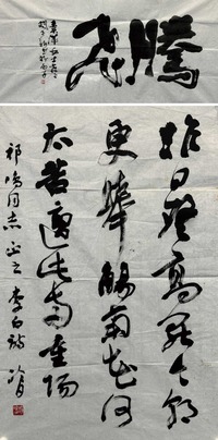赵冷月 杨正新 1996年作 行书“腾飞”·行书李白诗 软片