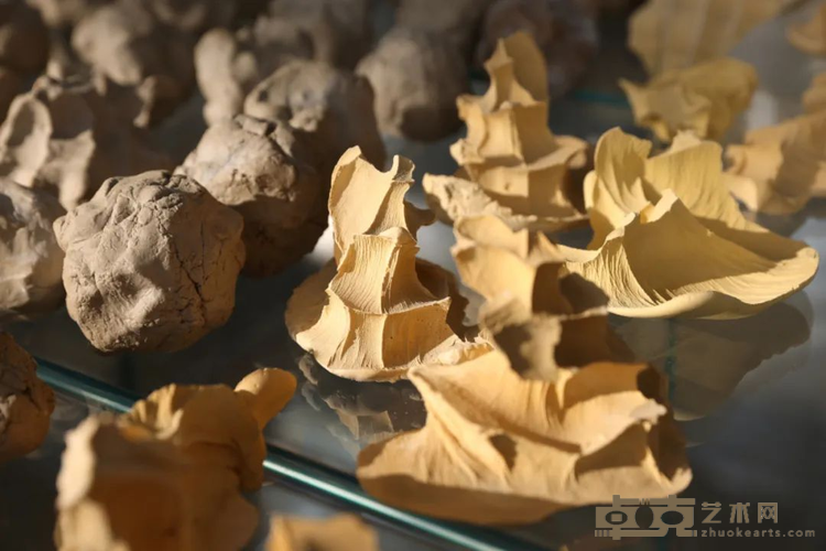 图片 11