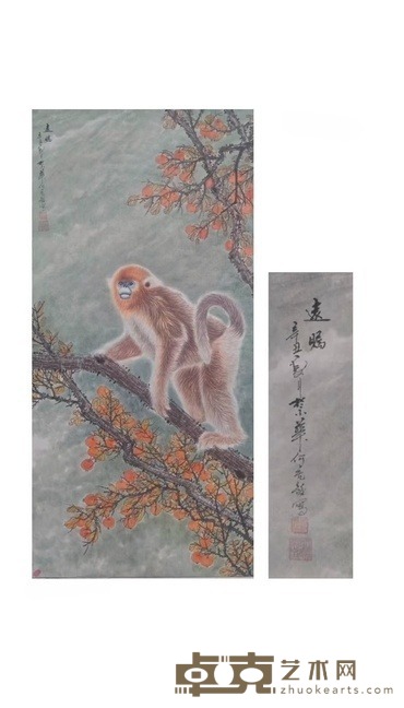 远瞩 