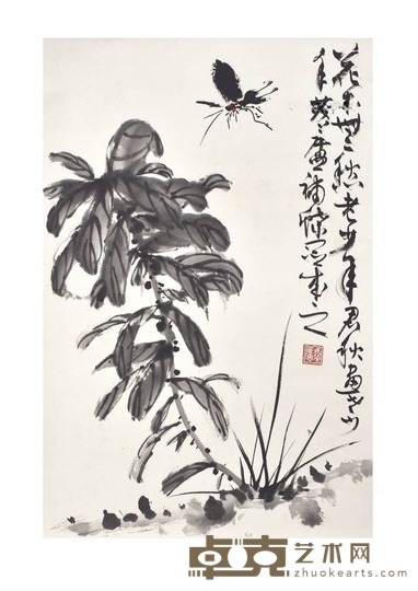虫草 
