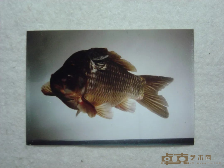 图片 4