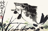 李苦禅 游鱼图 镜片