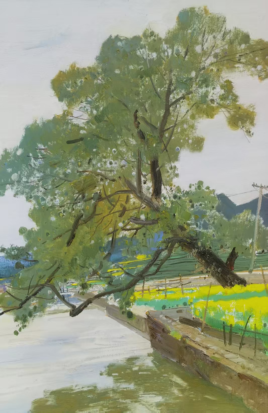 2025.3新作120×80cm