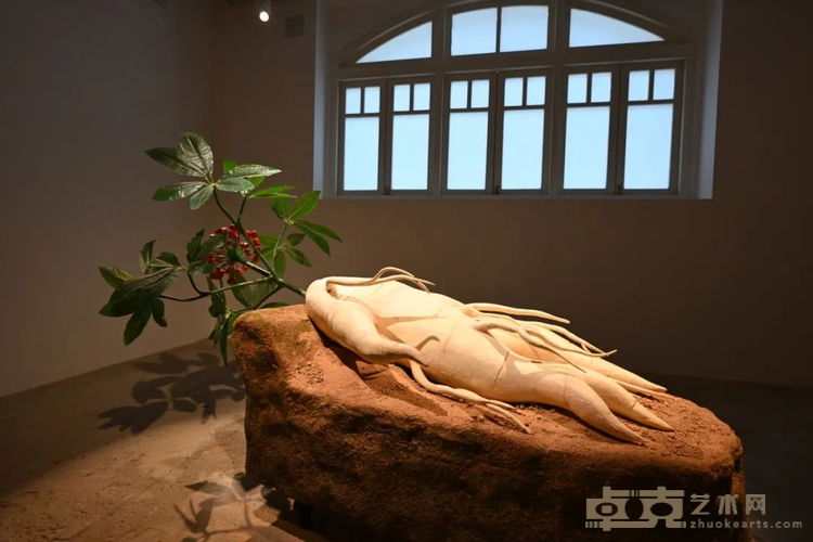 图片 6