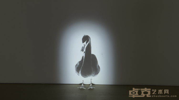 《鸟 3》，石膏脚、投影仪、移动接口，6’，95 × 50 × 12 cm，2013