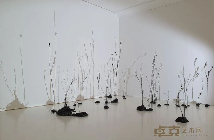 《空寂花园 3》，32株铜铸植物，投影仪，高清播放器，尺寸可变，2020-2022