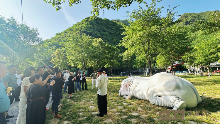 图片 11