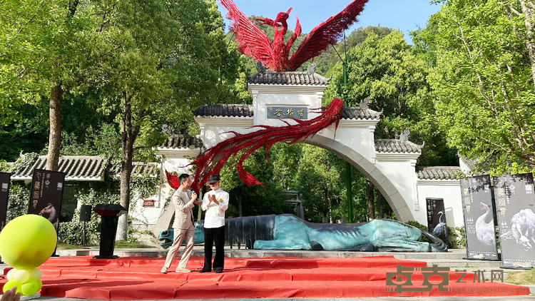 图片 10