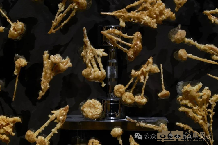 图片 12