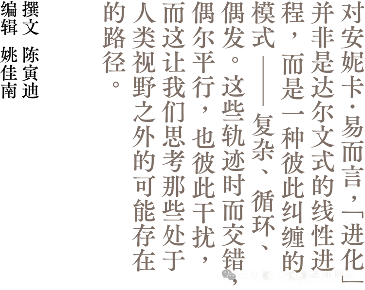图片 3