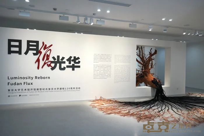 图片 4