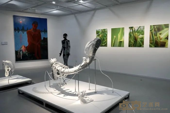 图片 13