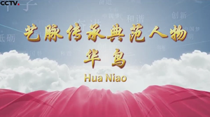 央视推荐艺脉传承典范人物-华鸟/央视大型艺术人物专题片【艺术大观·传承经典】