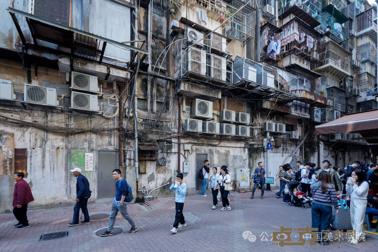 图片 19