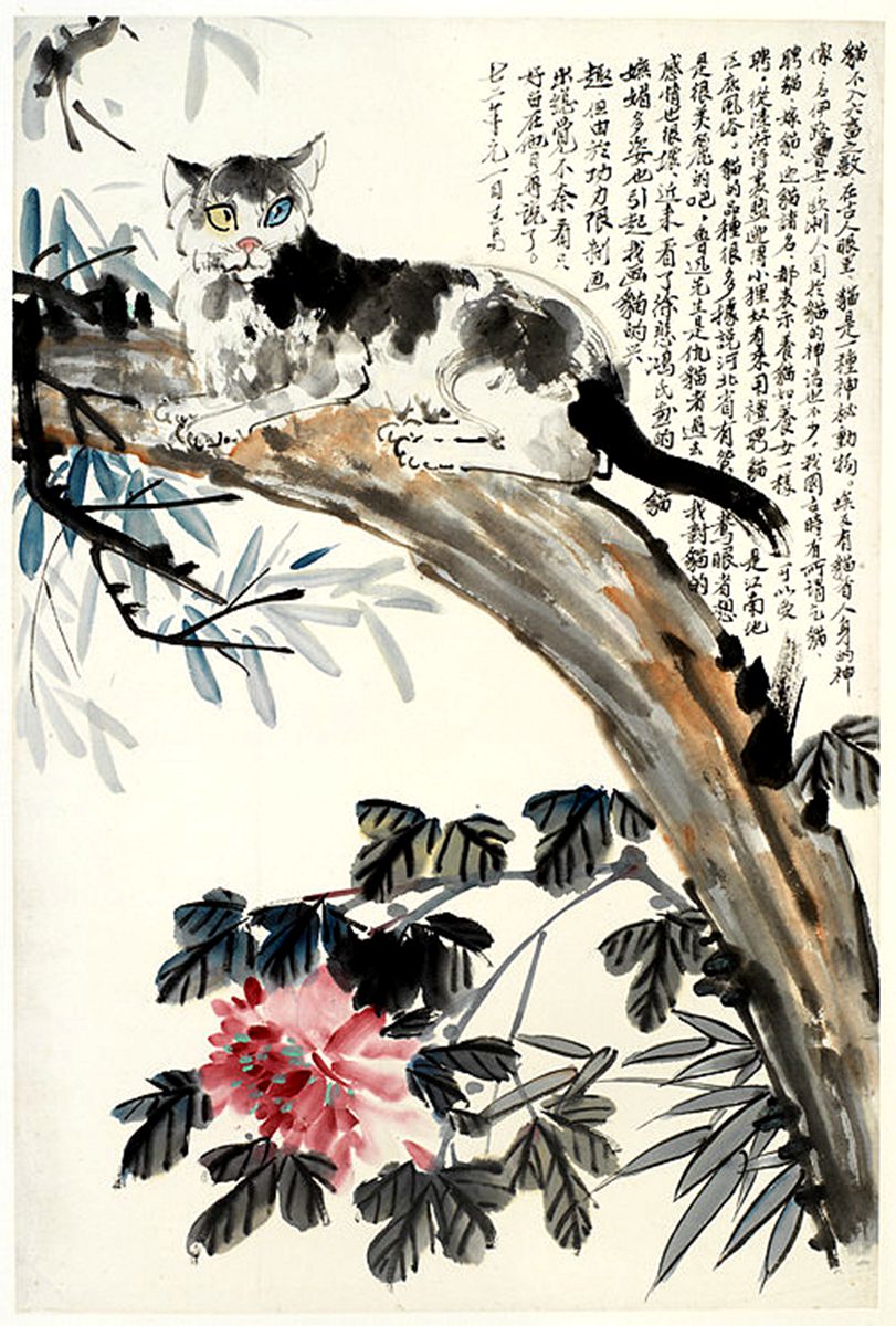 1972 《 猫》