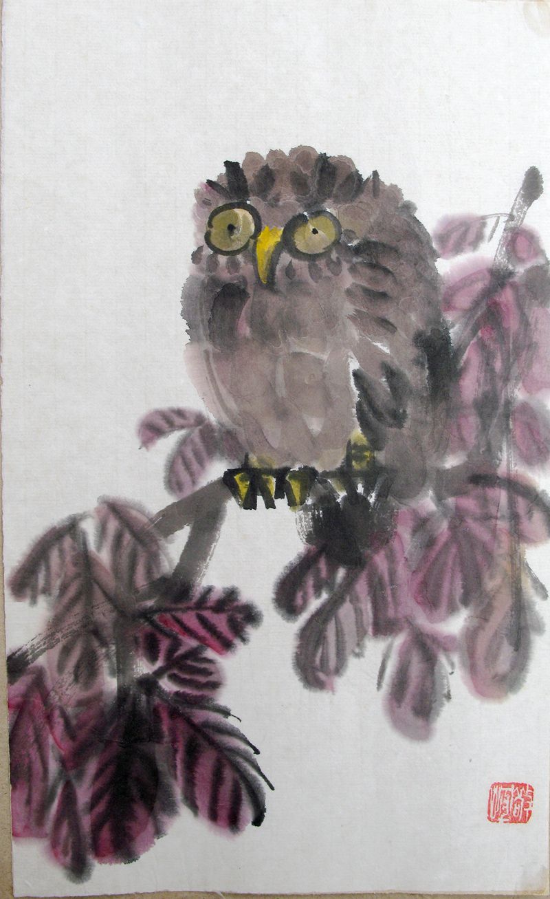 1974 《猫头鹰》17x26cm
