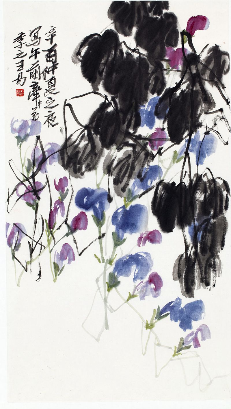 1981 《牵牛花》