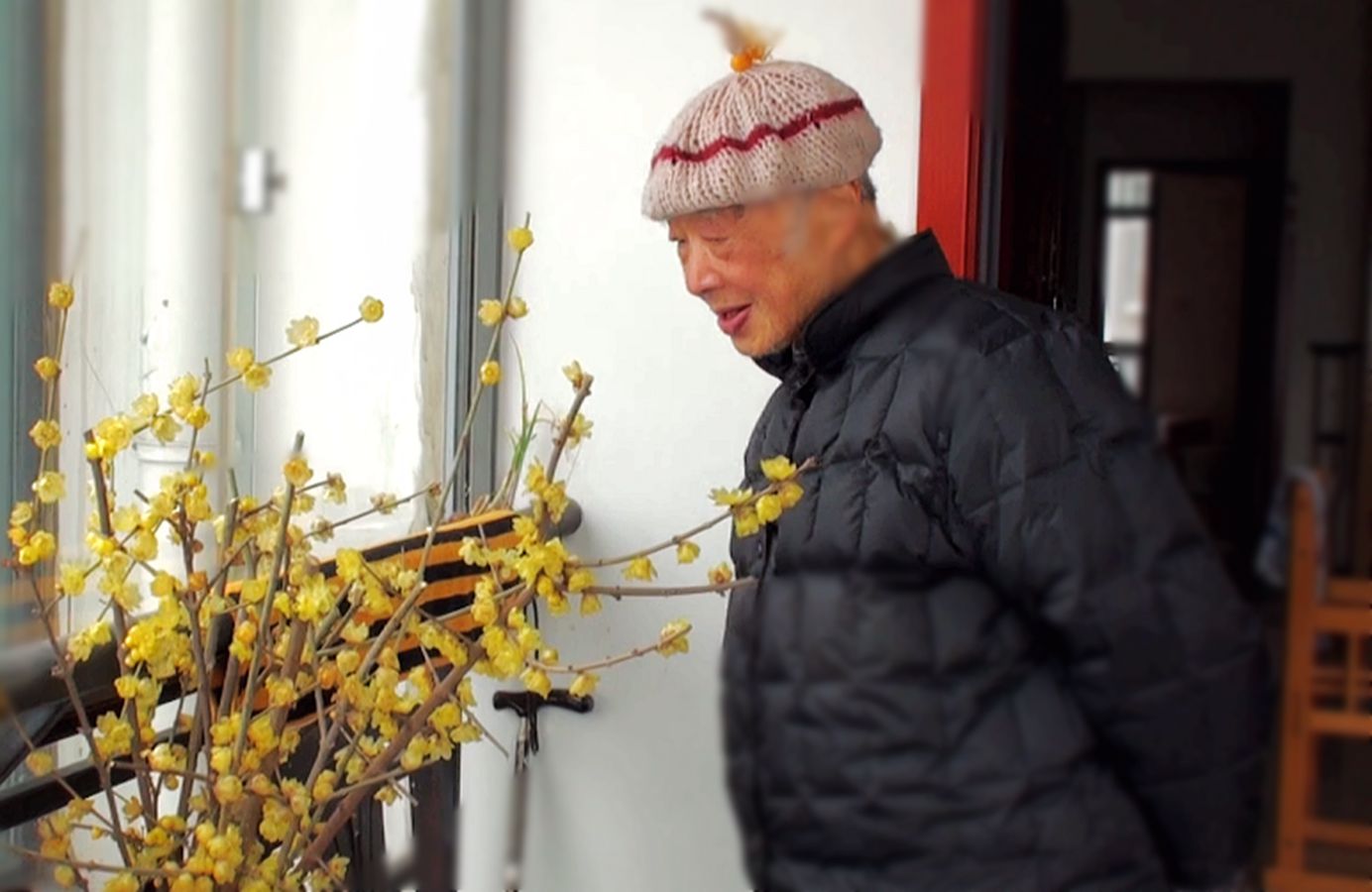 2012-1-14 《咏梅》——先生 高声唱吟：“梅花开得好，开熟了，开熟了就要谢了！”