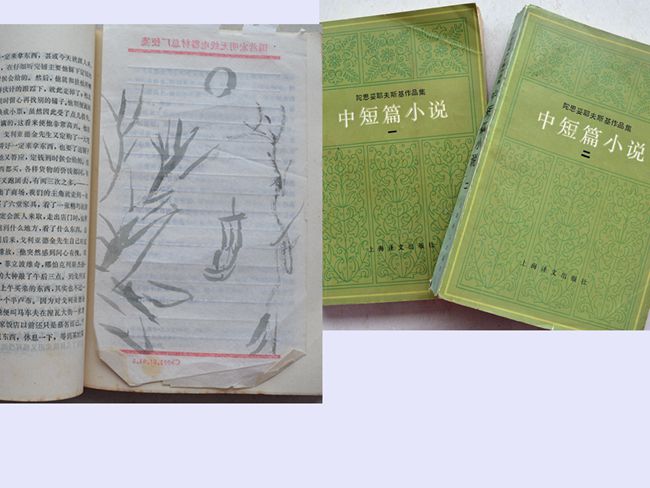 1984（58岁） 读《陀思妥耶夫斯基作品集·中短篇小说》 荣如德 等 译上海译文出版社1983-06