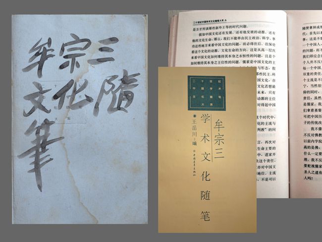 2001（75岁）  读《文化随笔》 牟宗三 著  中国青年出版社1996-09出版