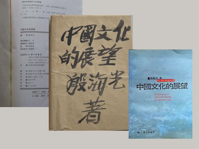 2003（77岁）  读《中国文化的展望》殷光海 著 三联书店2002版